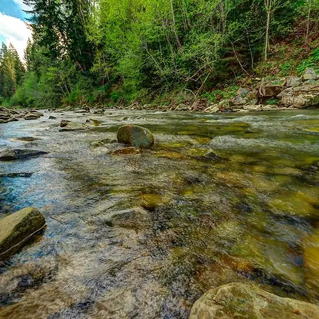 Tatil Evi L - Hutir Mykulychyn